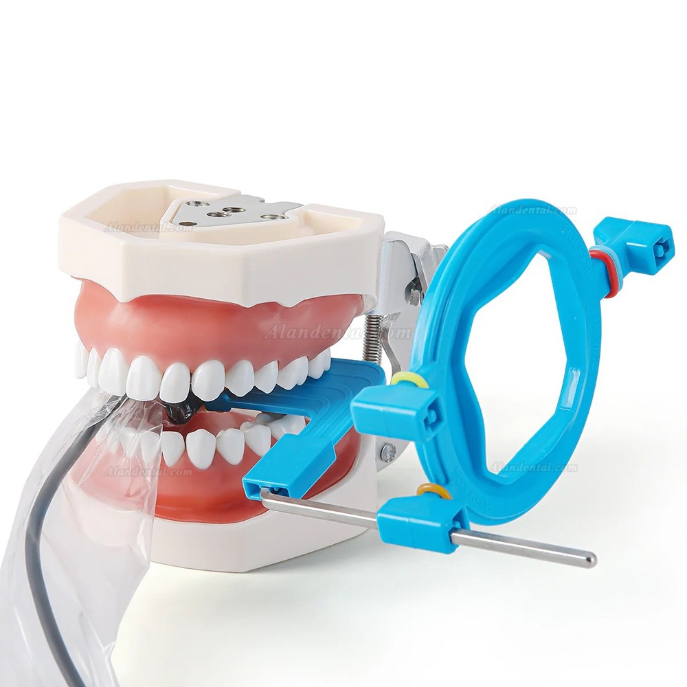 Dental RVG Sensor Positioner Holder Intraoral X-Ray Film Positioning System 2.0